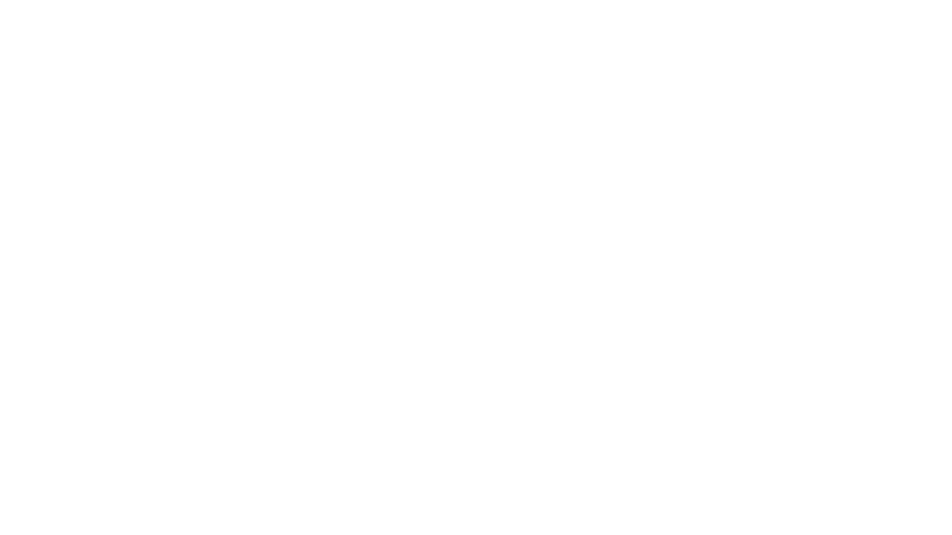 THE DIGITAL SYNDICATE